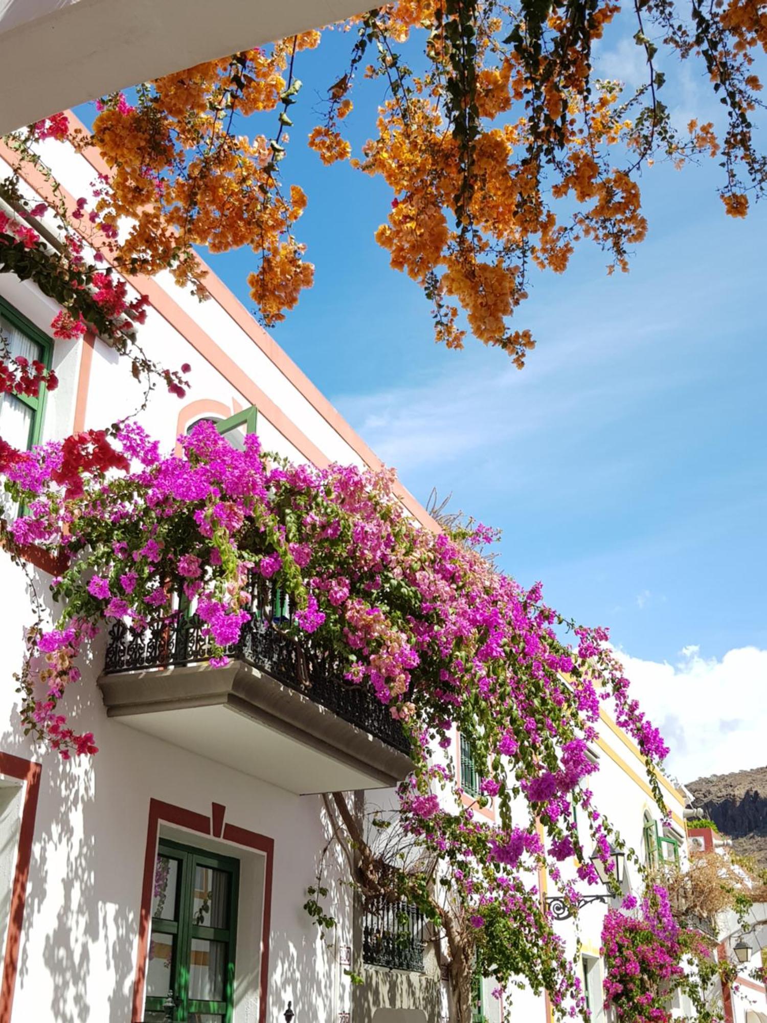 Villa Diana With Private Swimming Pool In Tauro Mogán Exterior photo